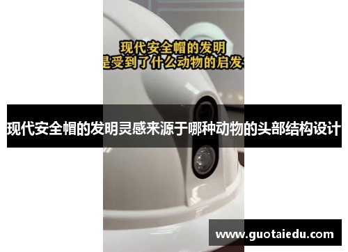 现代安全帽的发明灵感来源于哪种动物的头部结构设计